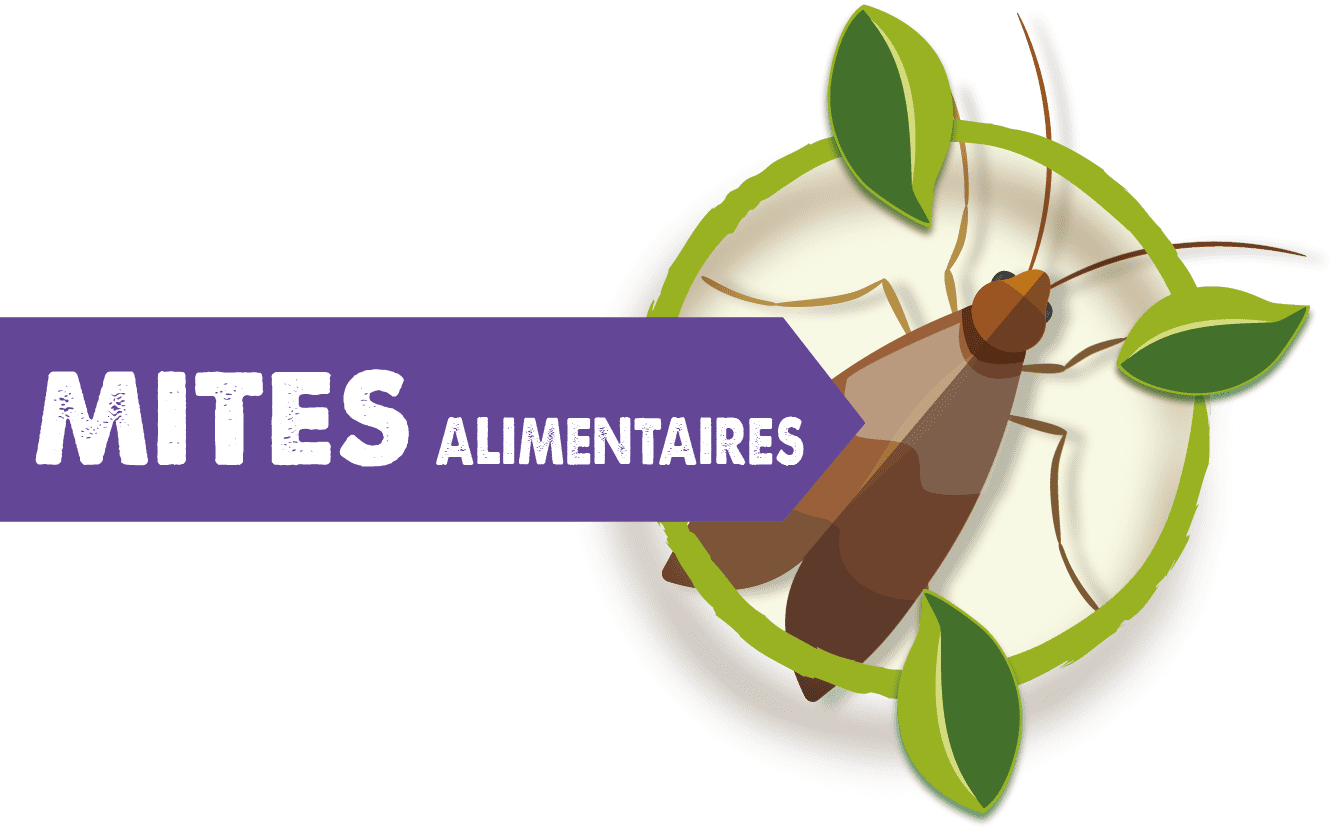 Pièges Rechargeables pour Mites Alimentaires - x3 - Aries - La Fourche