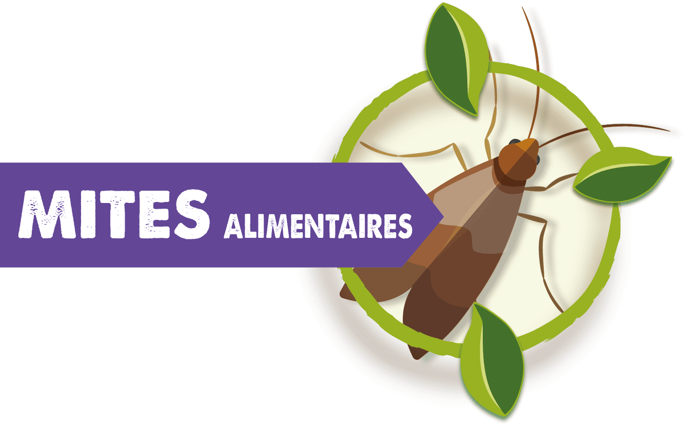 Piège anti-mites alimentaire – Maxi 70 m² à 14,90 € - Aries